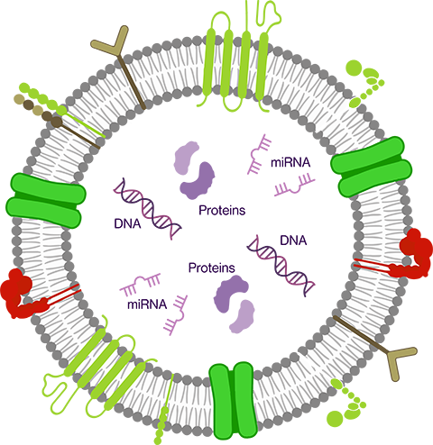 cell image